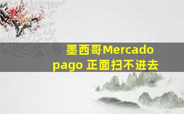 墨西哥Mercado pago 正面扫不进去